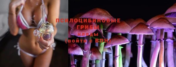 дживик Алексин