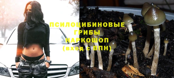 соль ск Алексеевка
