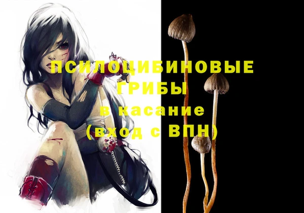 дживик Алексин
