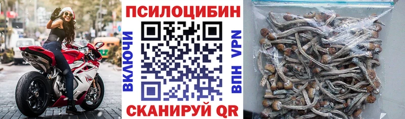 купить наркотик  Ветлуга  нарко площадка состав  Галлюциногенные грибы ЛСД 